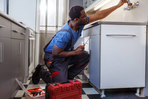 Best Drain Cleaning Services  in White Sulphur Springs, WV